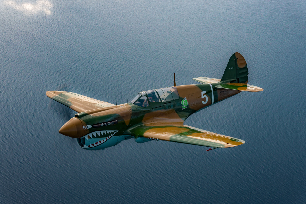 Curtiss P-40 Warhawk_RGB