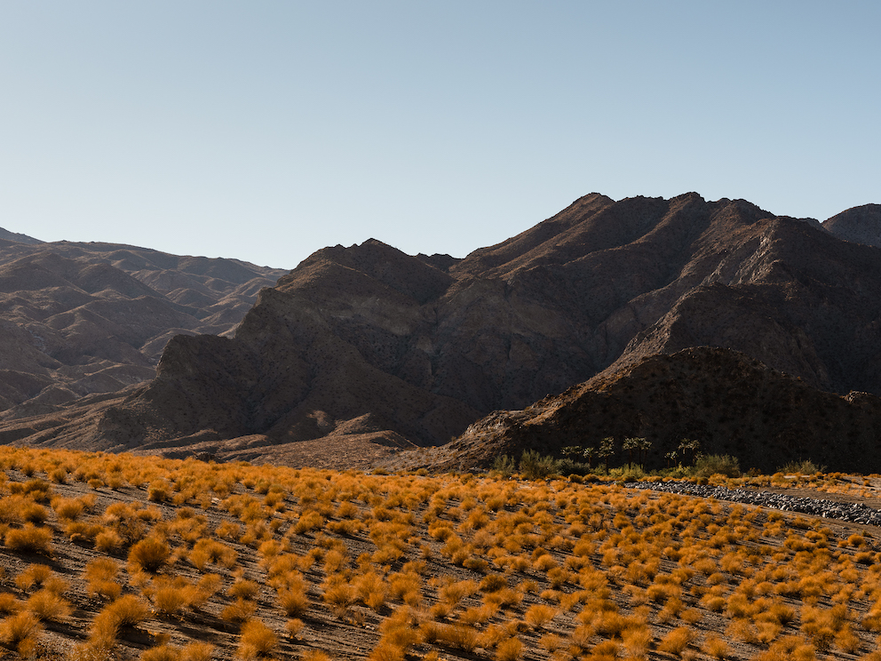 Desert X 21 Landscape 2