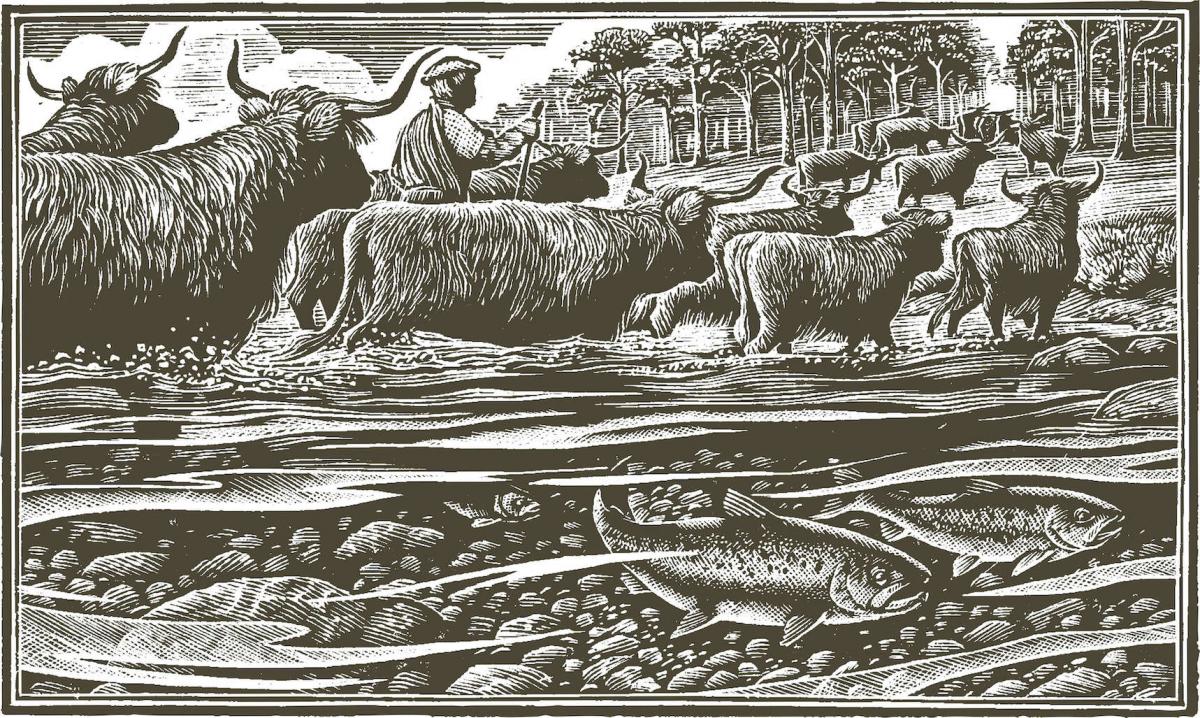 MC TOMetchings C1