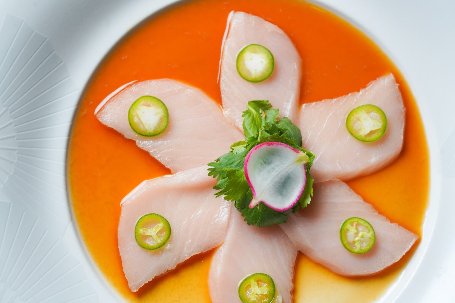 Nobu One Zaabee 7