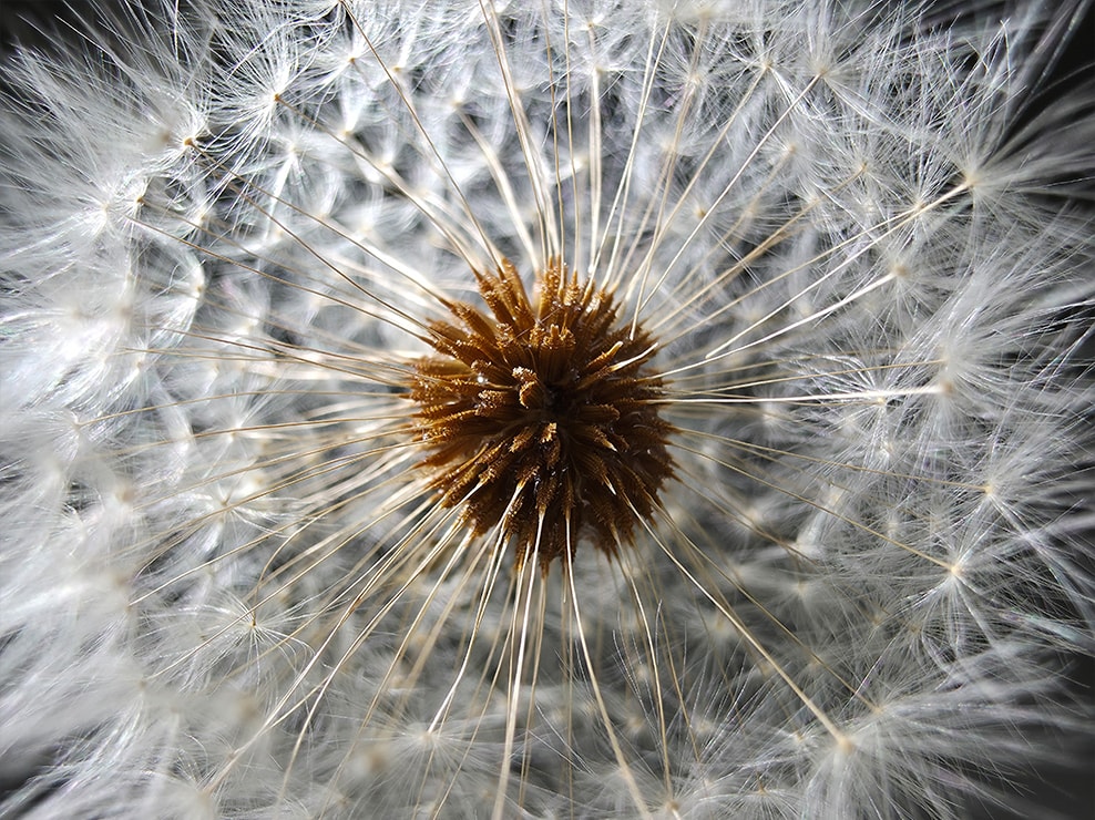 galaxy s25 ultra features high resolution macro ultra wide1